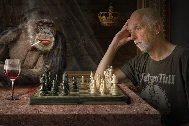 šachy s opicí